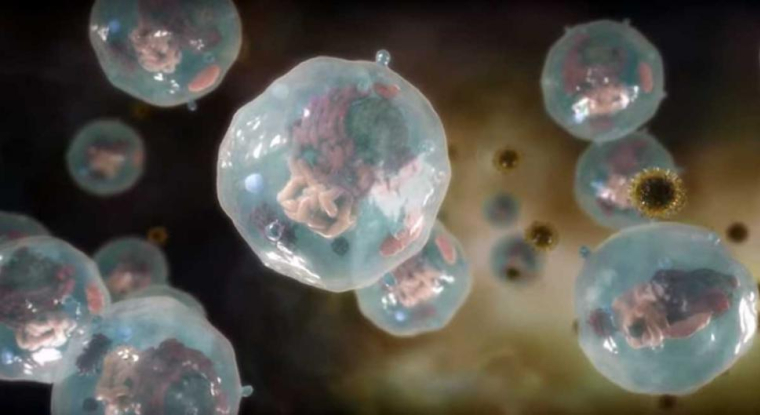 ABX464 est aussi le seul catalyseur boursier à court terme pour le titre. (© Abivax)