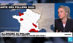 Allergie aux Pollens : quels sont les symptômes du rhume des foins ?