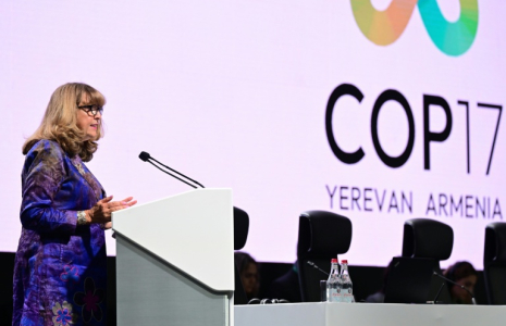 Astrid Schomaker, secrétaire exécutive de la Convention des Nations unies sur la diversité biologique, lors de la COP17 à Erevan, le 27 octobre 2026 en Arménie ( AFP / STRINGER )