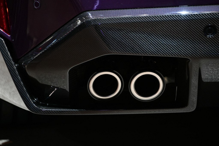 ( AFP / TOBIAS SCHWARZ )