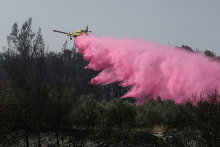 Un avion de lutte contre les incendies près de Bet Shemesh, dans le centre d'Israël, le 1er mai 2025 ( AFP / Ahmad GHARABLI )