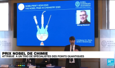 Nobel de chimie 2023 : un trio récompensé pour ses travaux sur les nanoparticules