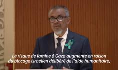 Gaza: "Deux millions de personnes sont affamées", selon le chef de l'OMS