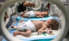 Des bébés prématurés pris en charge à l'hôpital Nasser à Khan Yunis, le 7 septembre 2026, dans les territoires palestiniens ( AFP / BASHAR TALEB )