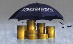 Les fonds en euros garantis représentent 73% de l’assurance vie en France (© Fotolia)