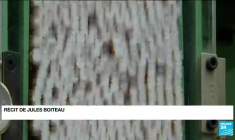 Le nombre de fumeurs baisse dans le monde : un "succès fragile" selon l'OMS