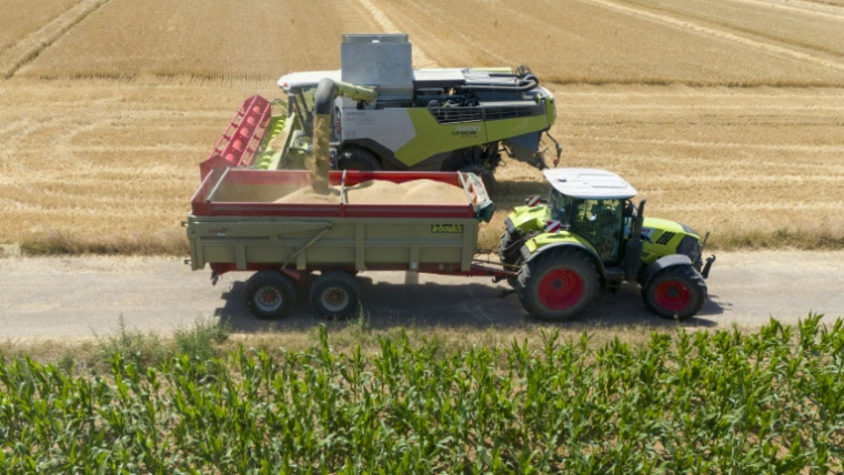 Moissons à Angevillers, dans le département de la Moselle, le 2 juillet 2026. ( AFP / Jean-Christophe VERHAEGEN )