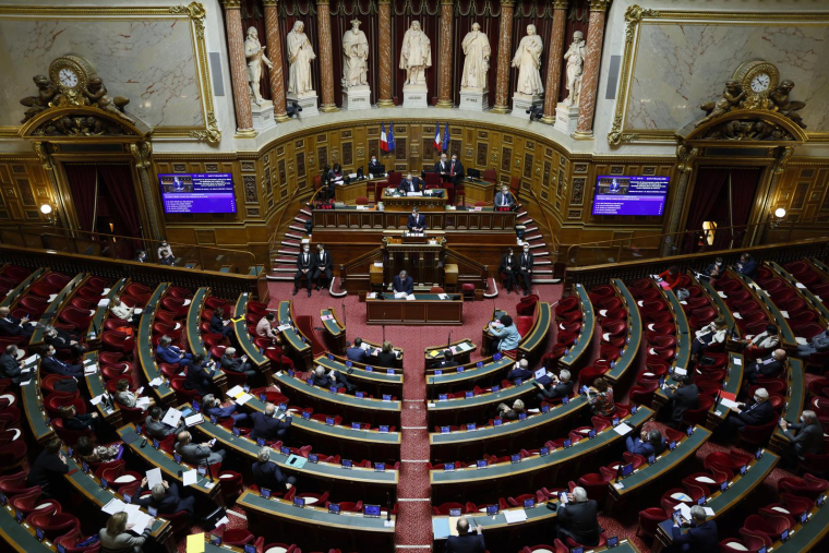 L'hémicycle du Sénat, qui entame jeudi l'examen du premier volet des mesures en faveur du pouvoir d'achat ( AFP / Thomas SAMSON )