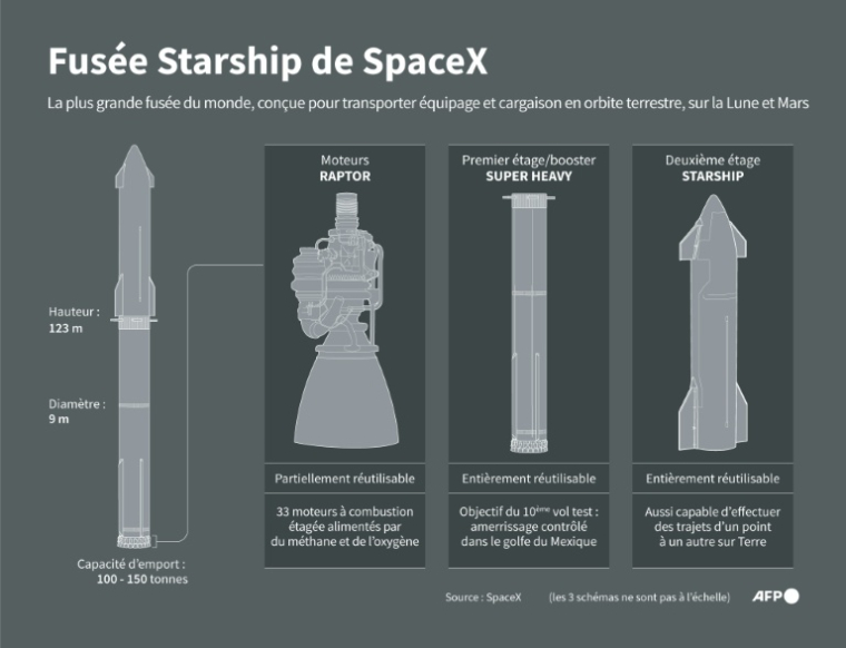 Infographie sur le lanceur Starship de SpaceX, la plus grande fusée jamais construite ( AFP / )
