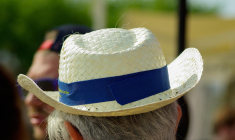 Gare aux fausses informations qui visent les retraités. (illustration) (Jackmac34 / Pixabay)