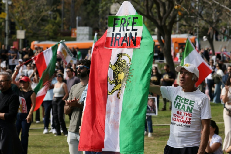 Un manifestant brandit un drapeau iranien d'avant la Révolution islamique, avec une pancarte "Libérez l'Iran", lors d'une manifestation à Los Angeles, le 18 janvier 2026 ( AFP / Jonathan Alcorn )