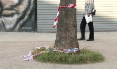 Nice: une fusillade fait deux morts et cinq blessés dans un quartier sensible