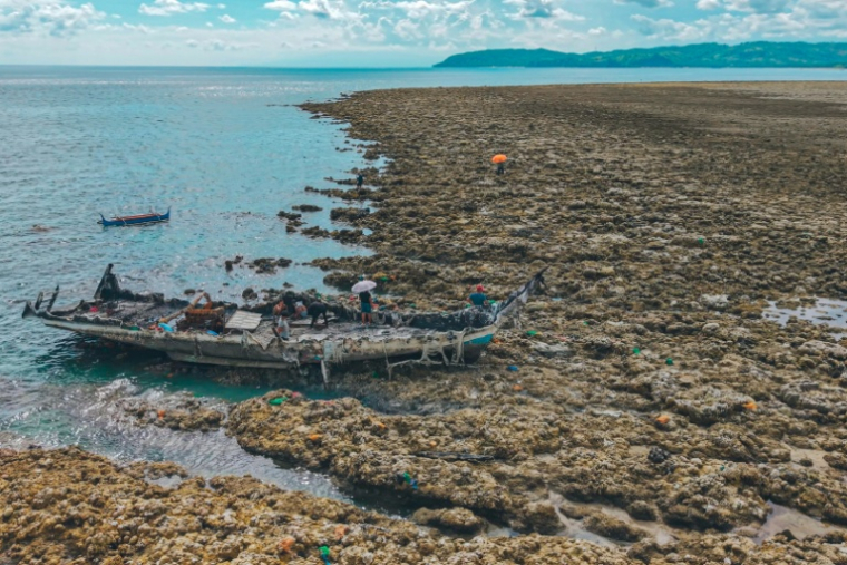 Soulèvement côtier à la suite d'un séisme le long de la réserve marine de Pangyan, à Mindanao, aux Philippines, le 18 juin 2026  ( AFP / Ferdinandh Cabrera )