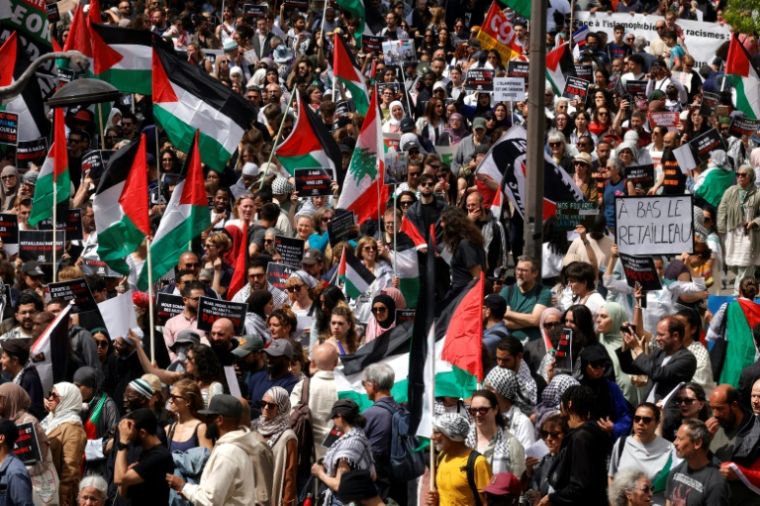 Des drapeaux palestiniens lors d'une manifestation contre l'islamophobie, le 11 mai 2025 à Paris ( AFP / GEOFFROY VAN DER HASSELT )