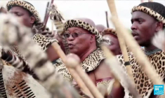 Jacob Zuma : qui est l'ex-président sud-africain condamné à 15 mois de prison ?