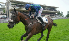 Le cheval pur-sang Sel Jem, monté par Johnny Charron,  remporte à Auteuil le Grand Steeple-Chase de Paris 2026, le 17 mai 2026 ( AFP / Dimitar DILKOFF )