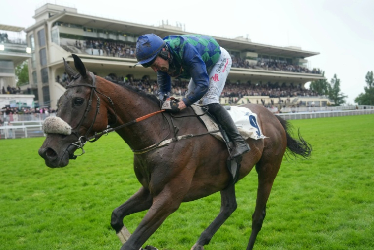 Le cheval pur-sang Sel Jem, monté par Johnny Charron,  remporte à Auteuil le Grand Steeple-Chase de Paris 2026, le 17 mai 2026 ( AFP / Dimitar DILKOFF )
