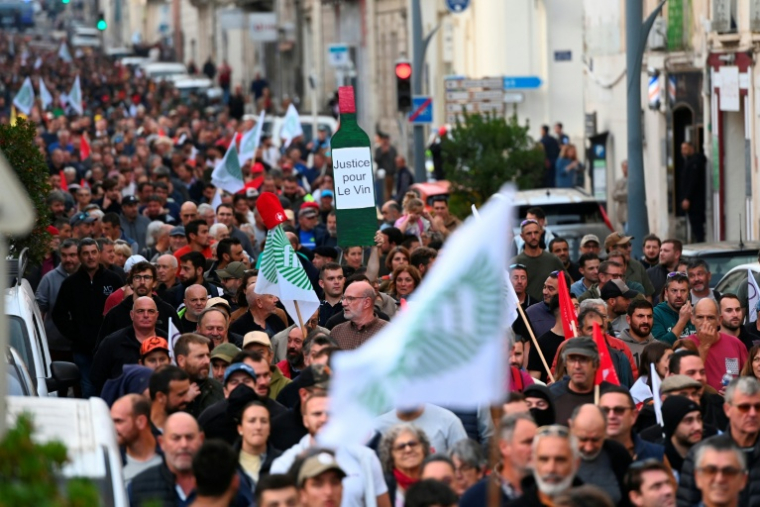 Des viticulteurs manifestent à Béziers samedi 15 novembre ( AFP / Sylvain THOMAS )