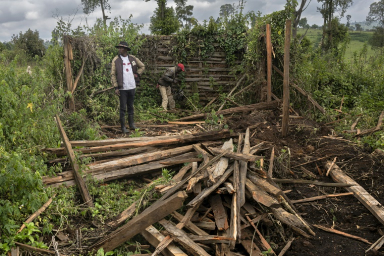 Fred Ngusilo (g), militant des droits humains de la communauté Ogiek, fouille avec un proche les débris de sa maison familale dans la forêt de Mau, dans le comté de Narok, le 16 août 2025 au Kenya ( AFP / Tony KARUMBA )