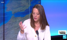 Destructions record des forêts tropicales en 2024 : incendies et agriculture en cause