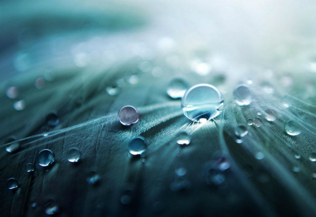 Pour la première depuis le début de l’année 2014, les rendements des bons du Trésor américain à 10 ans (Treasury Bond) ont franchi la barre des 3 %.