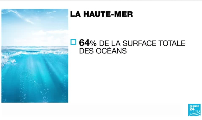One Ocean Summit : qu'est-ce que la haute mer ?