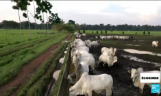 En visite à Paris, Lula plaide pour l'accord de libre échange Mercosur-UE