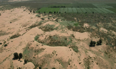 Vue aérienne de la zone verte qui contraste avec le désert de Kubuqi, à Ordos au nord de la Chine, le 12 août 2025 ( AFP / Pedro PARDO )