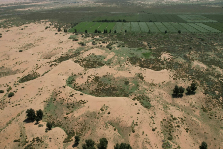 Vue aérienne de la zone verte qui contraste avec le désert de Kubuqi, à Ordos au nord de la Chine, le 12 août 2025 ( AFP / Pedro PARDO )