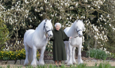 DES SALVES D'HONNEUR POUR LES 96 ANS DE LA REINE ELIZABETH II D'ANGLETERRE