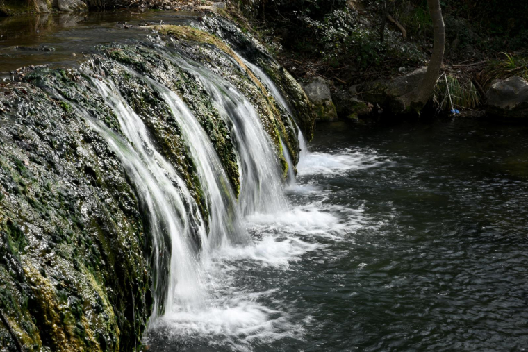 ( AFP / NICOLAS TUCAT )