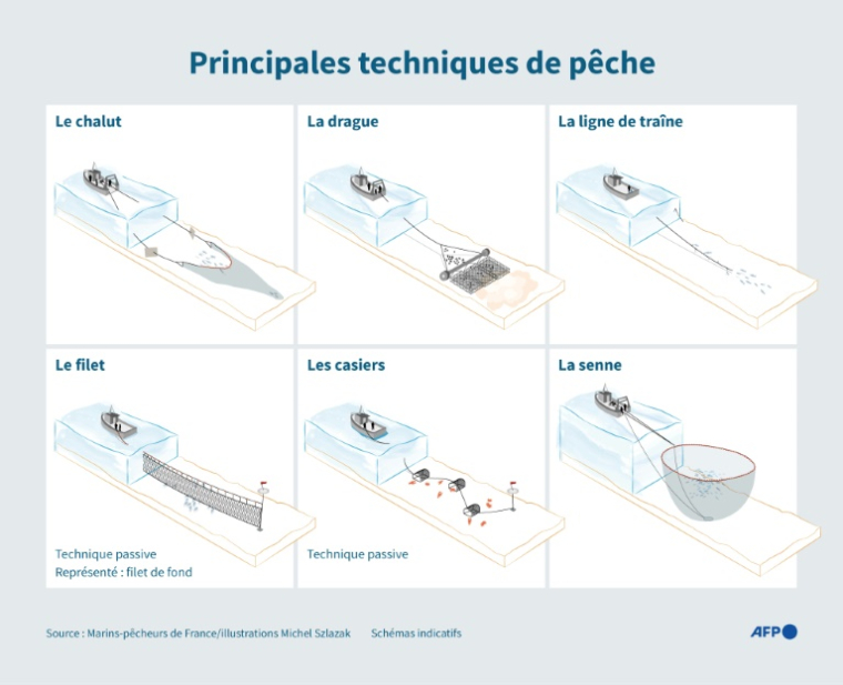 Schémas de 6 grandes techniques de pêche ( AFP / Valentina BRESCHI )