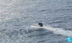 Partenariat France - Grèce : pour Emmanuel Macron, l'Europe doit "sortir de la naïveté"