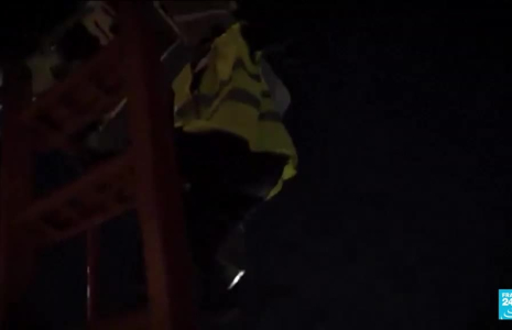 Deux bélugas transférés d'Ukraine en Espagne