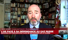 Guerre en Ukraine : l'UE face à sa dépendance au gaz russe