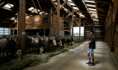 L'éleveur français Pierre-Jean Duchêne, dont les vaches viennent d'être vaccinées contre la dermatose nodulaire,  dans son hangar à Entrelacs, en Savoie, le 11 juillet 2025 ( AFP / JEFF PACHOUD )