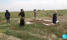 Syrie : dans le nord-est, le réchauffement climatique fait des ravages