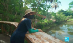 Colombie : des hippopotames hors contrôle, le pesant héritage animalier de Pablo Escobar