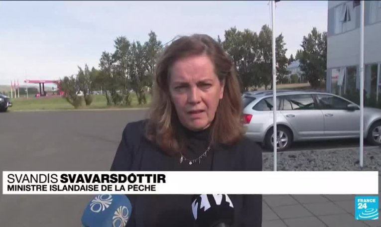 Chasse à la baleine : feu vert de l'Islande, après deux mois de suspension, l'exécutif l'autorise à nouveau