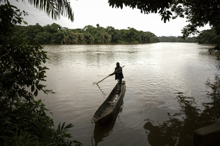 Un pêcheur sur sa pirogue le 1er juillet 2025 sur l'île de Tiwai, dans le sud-est de la Sierra Leone, un trésor de biodiversité. Le complexe de Gola-Tiwai - composé de la réserve de Tiwai et du parc national de la forêt tropicale de Gola, est entré le 13 juillet 2025 au patrimoine mondial de l'humanité à l'issue d'un vote lors de la 47ème session du Comité du patrimoine mondial de l'Unesco ( AFP / Saidu BAH )