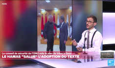 L'ONU vote le plan de trêve à Gaza : le Hamas "salue" l'adoption du texte