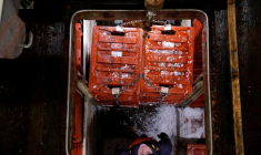 L'UE EXAMINE UNE PROPOSITION BRITANNIQUE SUR LA PÊCHE, SELON BLOOMBERG