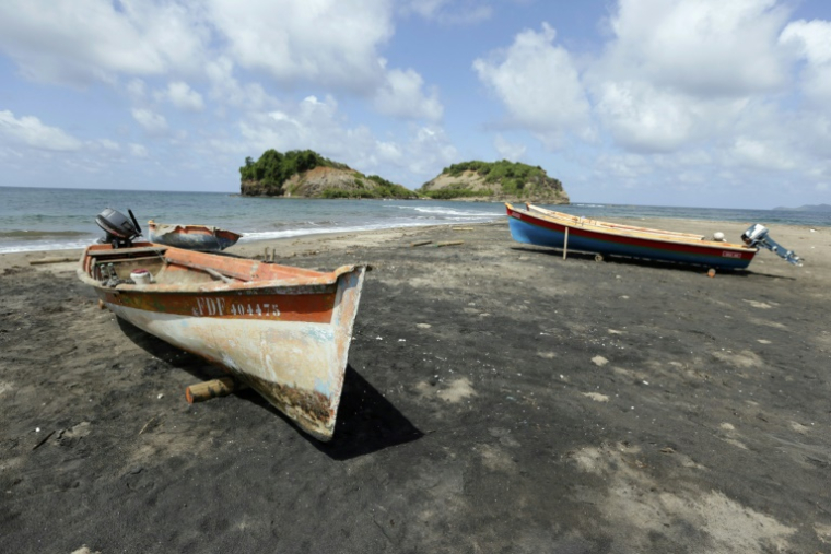 Aux Antilles, la pollution au chlordécone, pesticide utilisé pendant plus de vingt ans, a limité voire interdit la pêche dans de vastes zones ( AFP / KENZO TRIBOUILLARD )