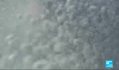 Corail rouge en Sardaigne : une pêche dangereuse mais lucrative