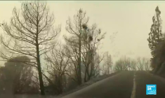 Incendie en Californie : un drame qui se répète pour les familles