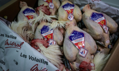 Des poulets de Bresse au Marché international de Rungis, à Rungis dans le Val-de-Marne au sud de Paris, le 10 décembre 2025 ( AFP / STEPHANE DE SAKUTIN )