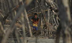 Un enfant marche parmi des arbres morts dans la petite communauté de La Tirana