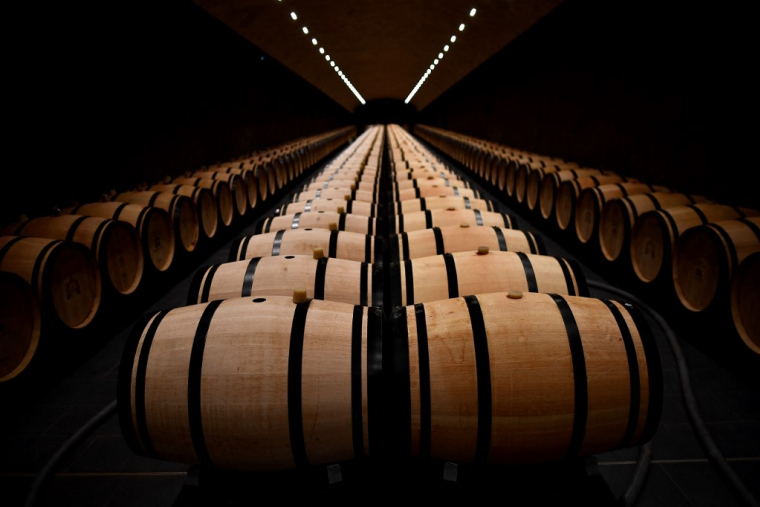 ( AFP / CHRISTOPHE ARCHAMBAULT )