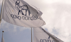 Les drapeaux de Novo Nordisk flottent devant les bureaux de Bagsvaerd, dans la banlieue de Copenhague