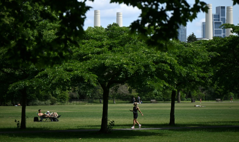 Des personnes profitent du soleil à Battersea Park, à Londres, le 31 mai 2025 ( AFP / JUSTIN TALLIS )